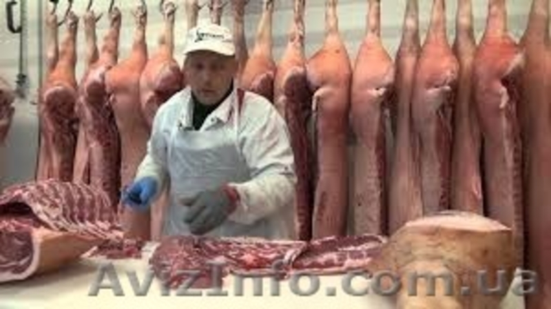 Продаю свинные полутуши - <ro>Изображение</ro><ru>Изображение</ru> #3, <ru>Объявление</ru> #1461616