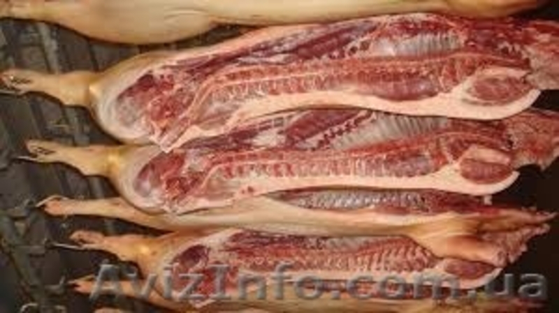 Продаю свинные полутуши - <ro>Изображение</ro><ru>Изображение</ru> #2, <ru>Объявление</ru> #1461616