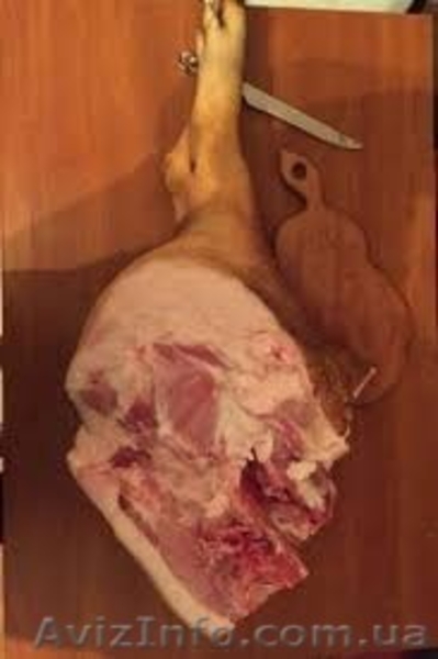 Продаю свинные полутуши - <ro>Изображение</ro><ru>Изображение</ru> #4, <ru>Объявление</ru> #1461616