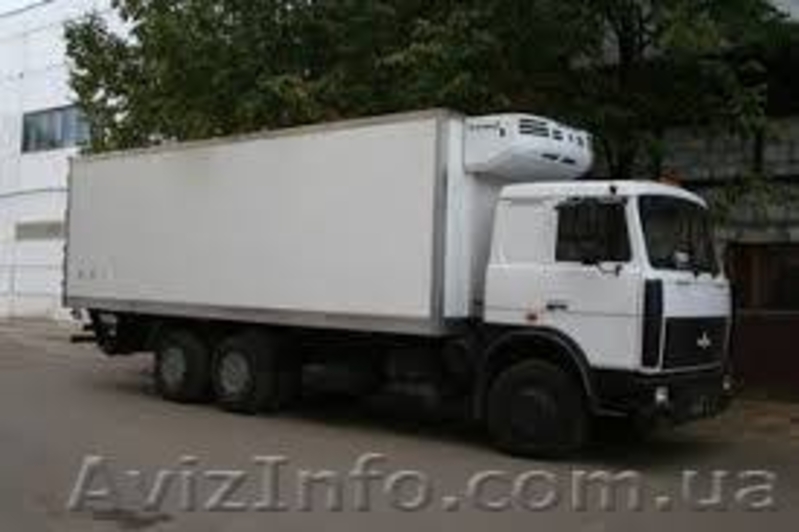 Продаю свинные полутуши - <ro>Изображение</ro><ru>Изображение</ru> #5, <ru>Объявление</ru> #1461616