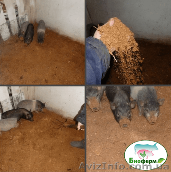 Подстилка для животных Биоферм - <ro>Изображение</ro><ru>Изображение</ru> #6, <ru>Объявление</ru> #1557195