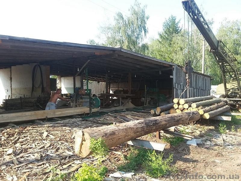 Деревообрабатывающее предприятие, Цех изготовления древесных пелет и брикет  - <ro>Изображение</ro><ru>Изображение</ru> #2, <ru>Объявление</ru> #1607825