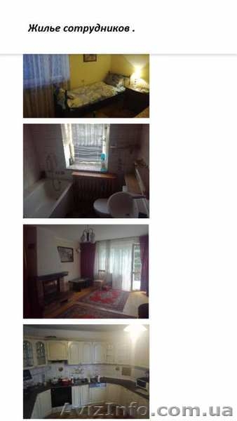  Рабочие на производство деревянных поддонов в Польшу. - <ro>Изображение</ro><ru>Изображение</ru> #2, <ru>Объявление</ru> #1625663