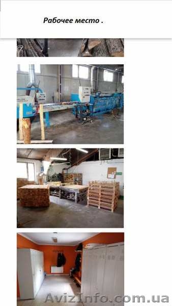  Рабочие на производство деревянных поддонов в Польшу. - <ro>Изображение</ro><ru>Изображение</ru> #3, <ru>Объявление</ru> #1625663