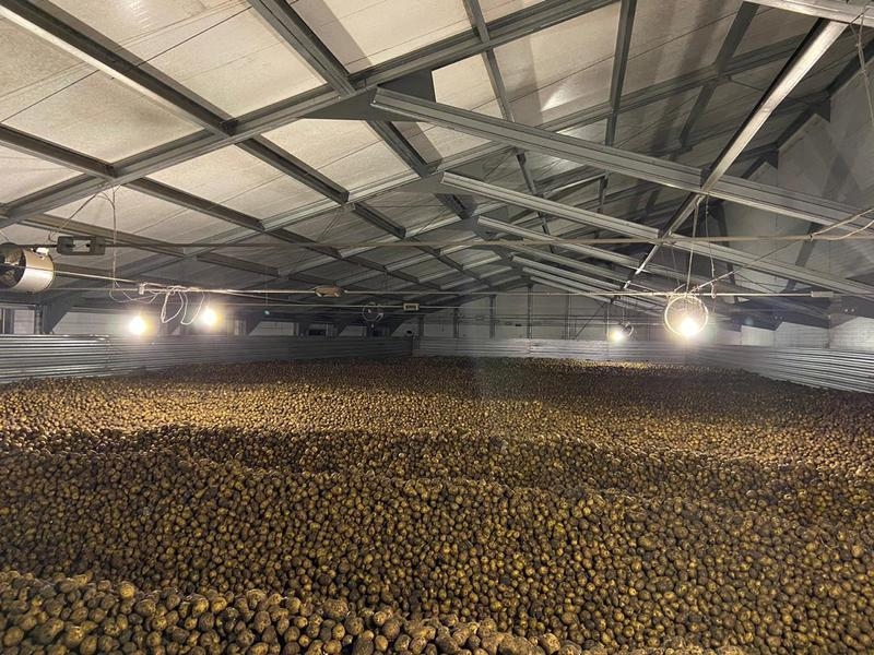 Картофель оптом!!! - <ro>Изображение</ro><ru>Изображение</ru> #2, <ru>Объявление</ru> #1674096