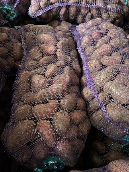 Картофель оптом!!! - <ro>Изображение</ro><ru>Изображение</ru> #4, <ru>Объявление</ru> #1674096