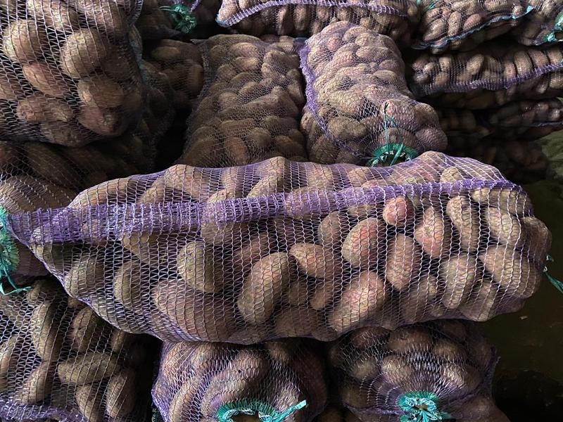 Картофель оптом!!! - <ro>Изображение</ro><ru>Изображение</ru> #6, <ru>Объявление</ru> #1674096