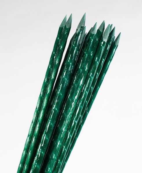  Опоры, колышки из композитных материалов для растений от производителя POLYARM - <ro>Изображение</ro><ru>Изображение</ru> #4, <ru>Объявление</ru> #1709482